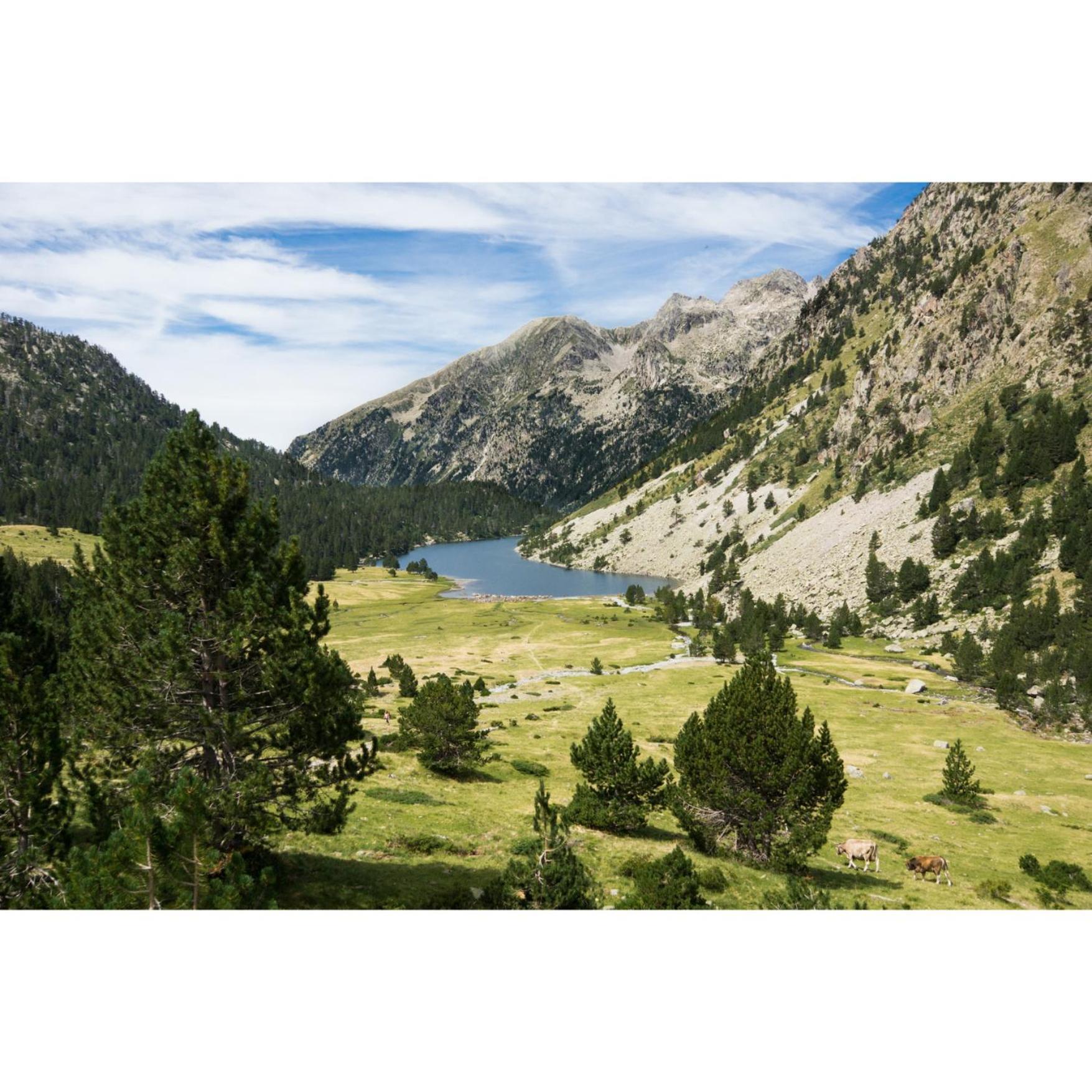 Charmant T3 Avec Vue Montagne Et Parking Privatif Font-Romeu-Odeillo-Via Buitenkant foto
